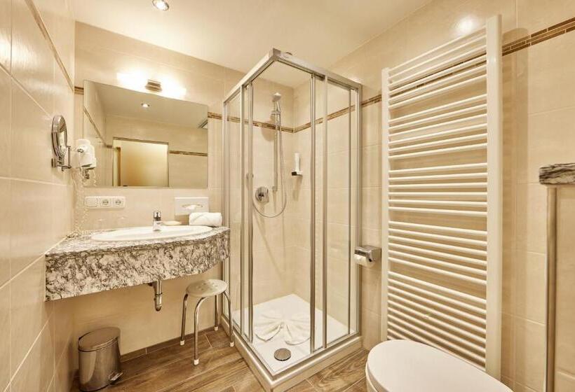 Полулюкс, Alpenhotel Rieger