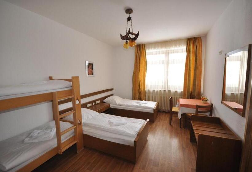 Номер Стандарт, & Hostel Drei Baren