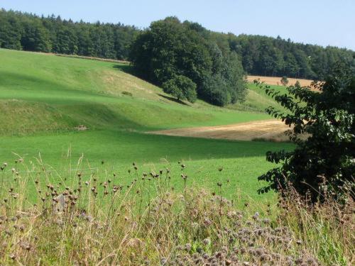 스탠다드 룸, Landgasthof Zur Post