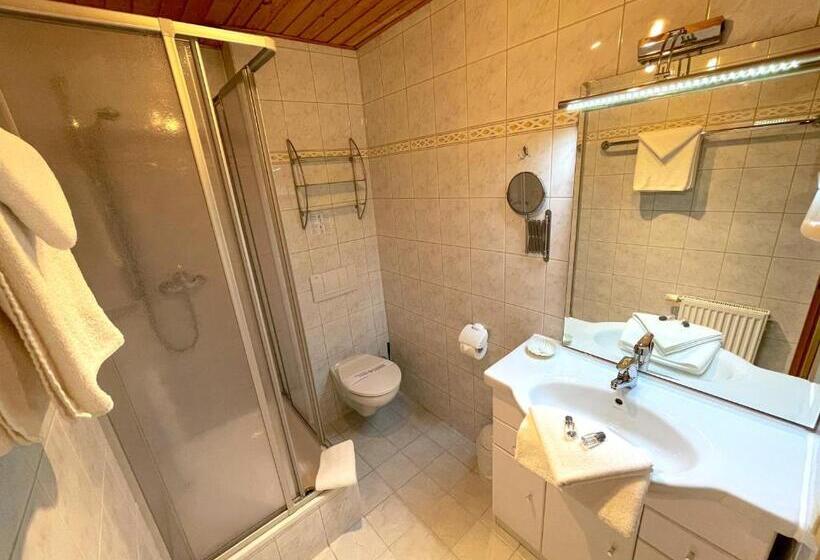Номер Стандарт, Land  Und Aktivhotel Altmühlaue