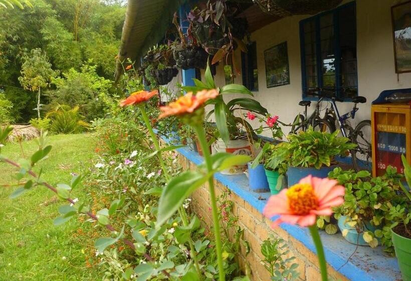 스탠다드 룸, Hostal Sueño Paraiso  Observatorio Astronómico