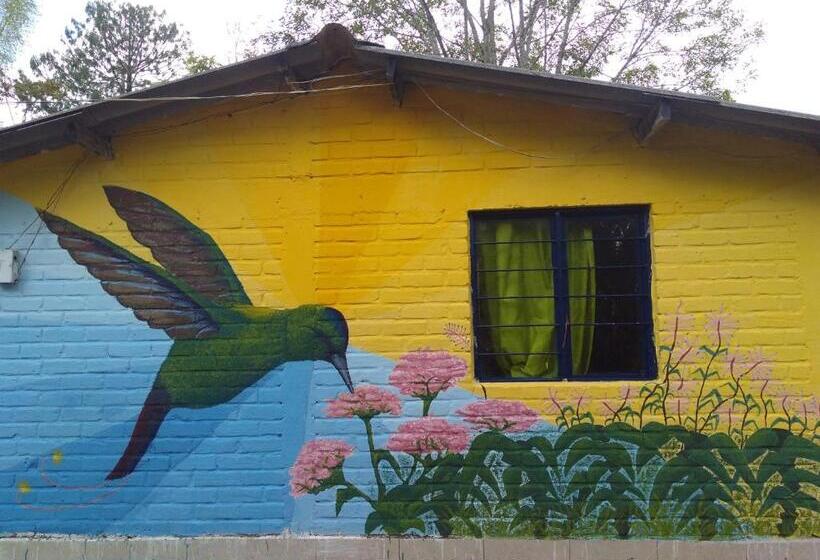 스탠다드 싱글 룸, Hostal Sueño Paraiso  Observatorio Astronómico