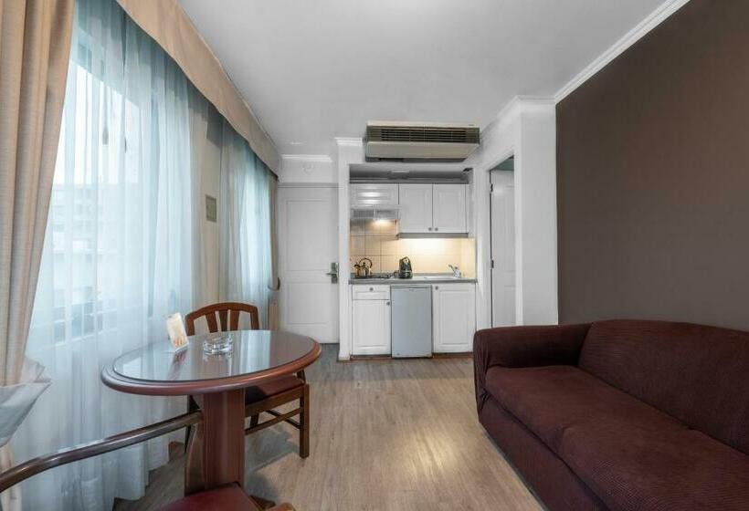 Номер Стандарт Индивидуальный, Apart Hotel Elite Las Condes