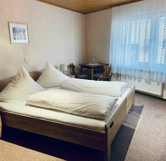 Номер Стандарт, Pension Balthasar