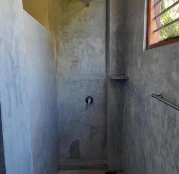 Номер Стандарт, Mealanie S House
