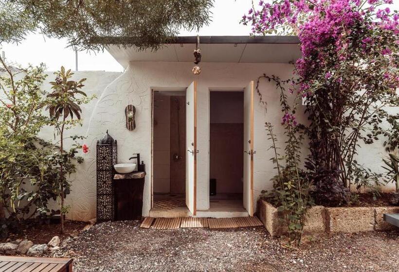 Номер Стандарт Совместная Ванная, Hostel Los Amigos Yoga & Wellness