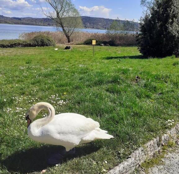 Номер Стандарт с Балконом, Room Country Lake