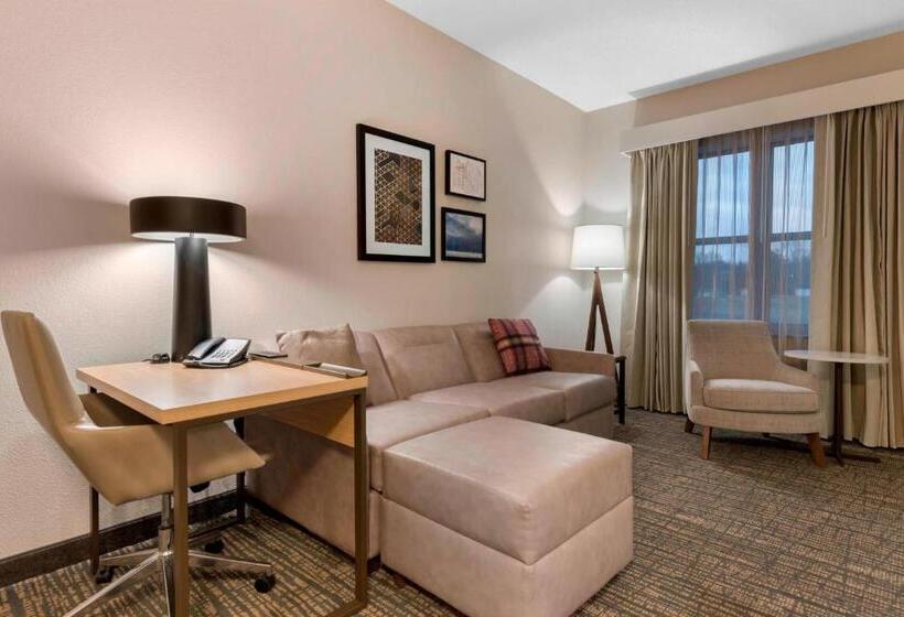 스위트 킹사이즈 침대, Residence Inn By Marriott Columbus