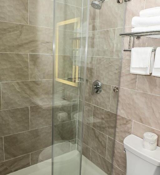 스탠다드 룸 킹사이즈 침대, Days Inn By Wyndham Bronx Nyc