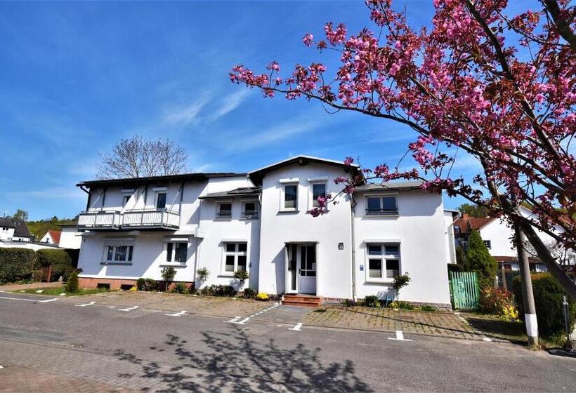 Апартаменты 1 Спальня Нижний Этаж, Siggis Pension   Apartments