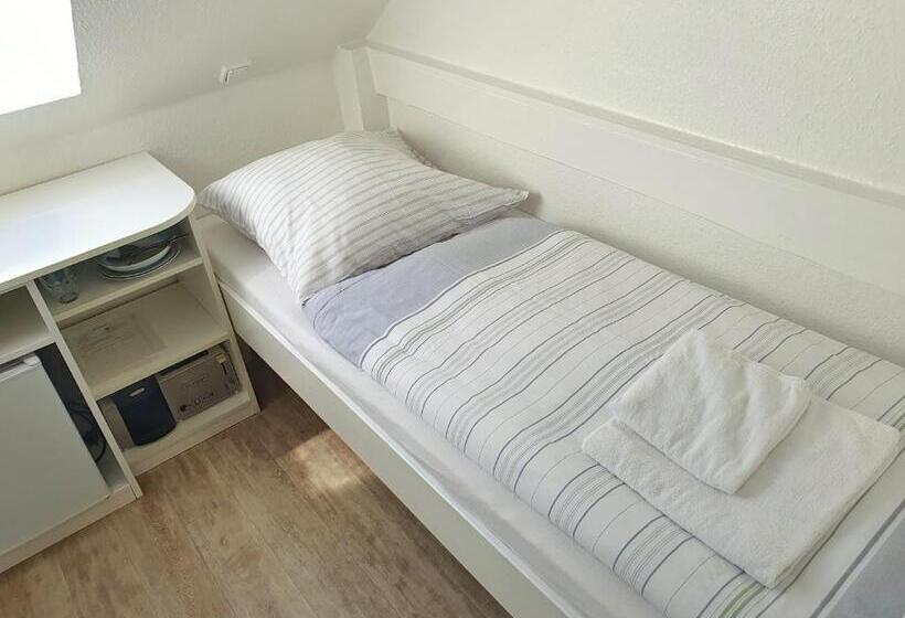 اتاق عادی یک تخته, Aparthotel Marion Weber