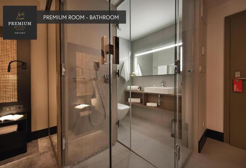 Трежместный Номер Economy, Premium Wellness & Wine Hotel Znojmo