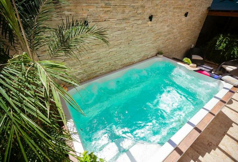 اتاق استاندارد, Room In Guest Room   Cozy 1bd With Common Jacuzzi