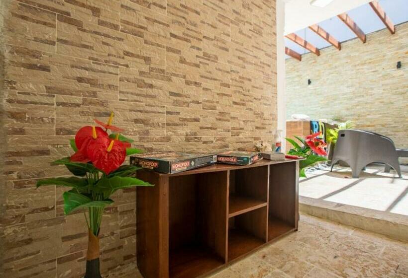 اتاق استاندارد, Room In Guest Room   Cozy 1bd With Common Jacuzzi