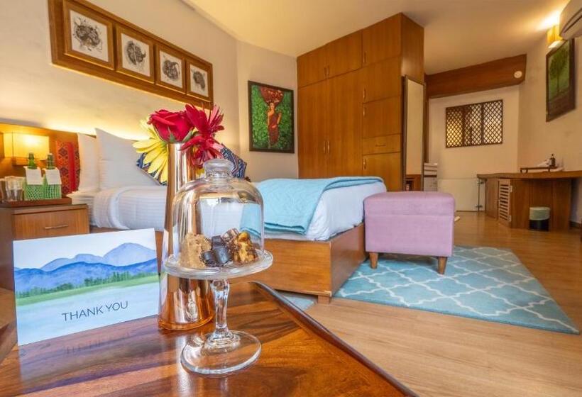 수피리어 룸, Tree Of Life Eila Art Hotel, Manali