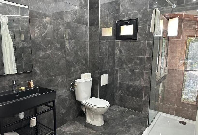 Люкс Дюплекс, Hôtel Parc Les Cigognes   Albé