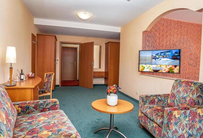 Номер Стандарт Вид на Парк, Am Kurhaus Mit Erstem Ayurveda Center Sachsens   Direkt Am Gesundheitsbad Actinon & Kurpark