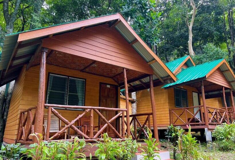Бунгало Стандарт, Dream Valley Resort, Tonsai Beach