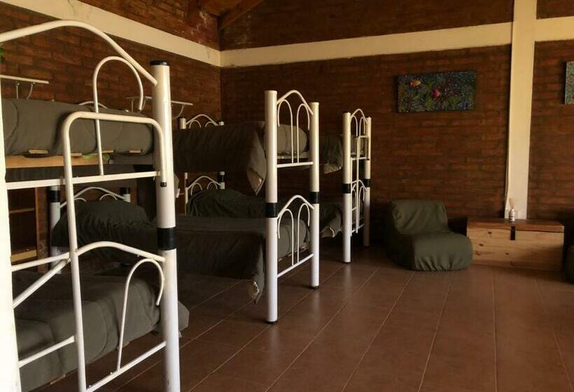 공동 객실, Hostel Bahía Ballenas