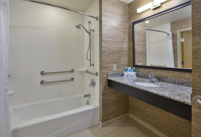 适用于残疾人士的豪华房间, Holiday Inn Express & Suites Geneva Finger Lakes, An Ihg