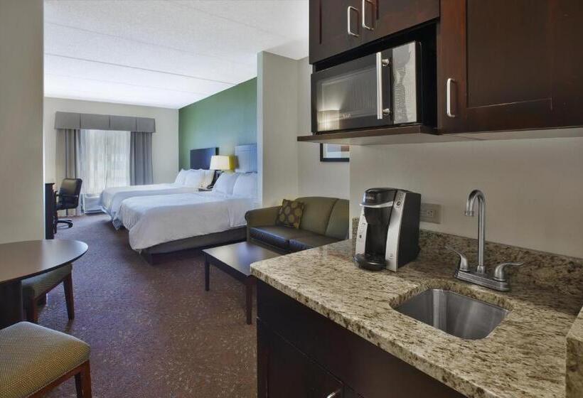 套房, Holiday Inn Express & Suites Geneva Finger Lakes, An Ihg