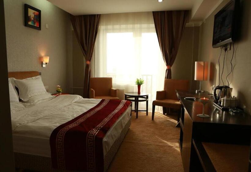 Habitación Estándar, Park