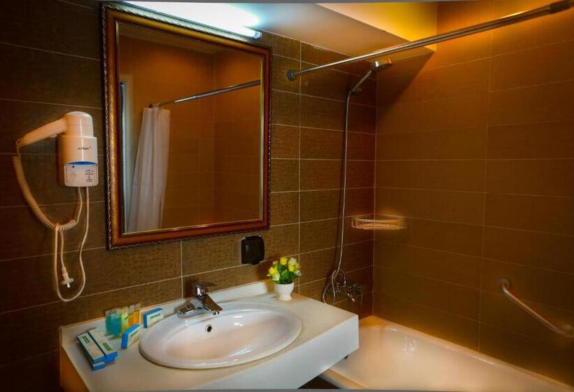 Habitación Deluxe, Park