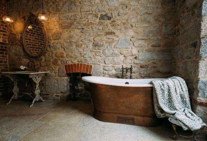 Люкс Повышенной Комфортности, Host St Ives