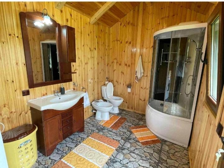 Номер Стандарт, Casa Prundari Nicu și Mirela