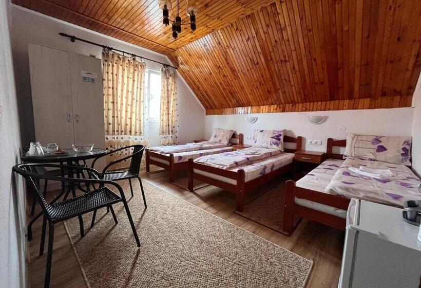 اتاق استاندارد سه تخته با سرویس بهداشتی مشترک, Snam Rooms&apartment