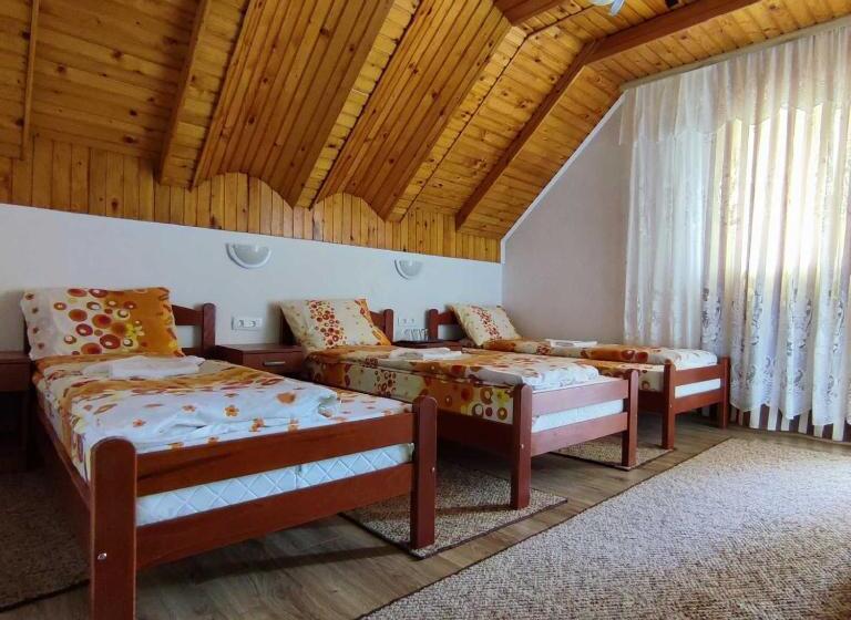 اتاق استاندارد سه تخته با سرویس بهداشتی مشترک, Snam Rooms&apartment