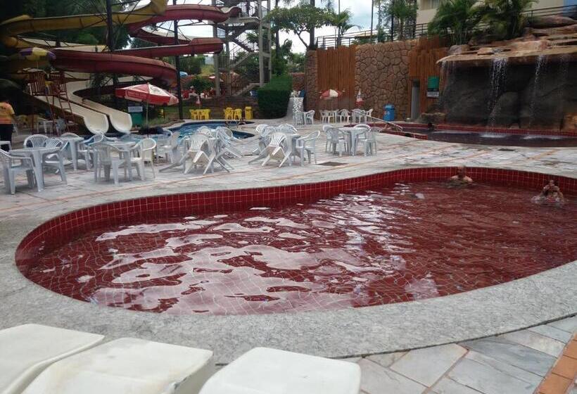 סוויטה, Golden Dolphin Grand