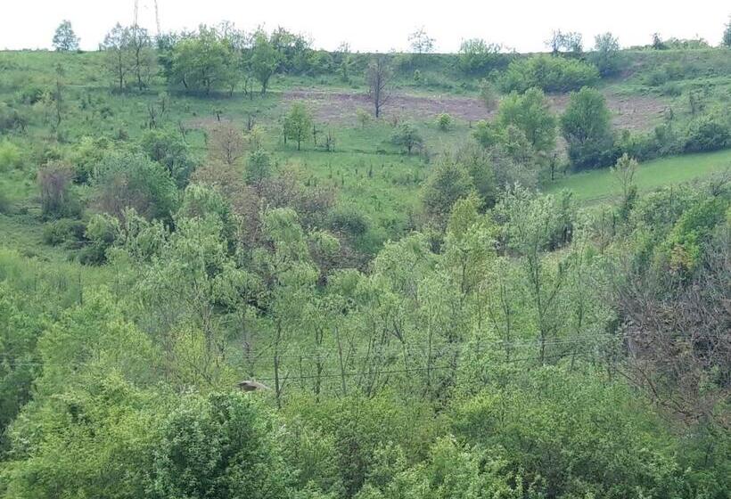 Номер Стандарт, Colț De Rai   Camera De Inchiriat