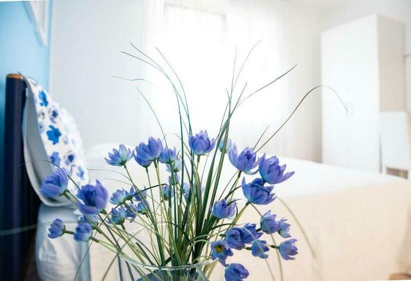 Номер Стандарт, B&b Brentagiardino