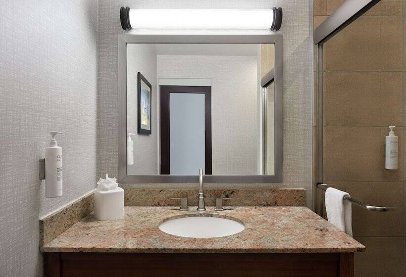 اتاق استاندارد برای معلولان, Hampton Inn Manhattan/downtown Financial District