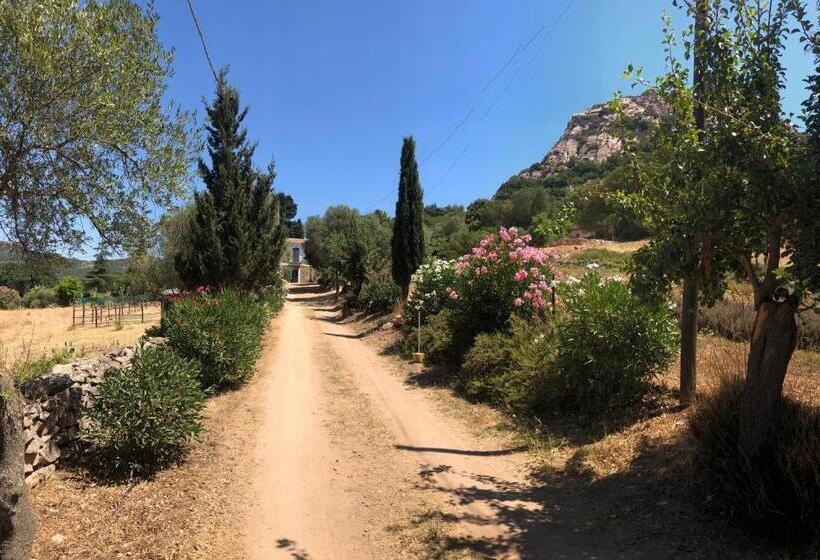 Номер Стандартный с Видом, Agriturismo La Casa Delle Fate