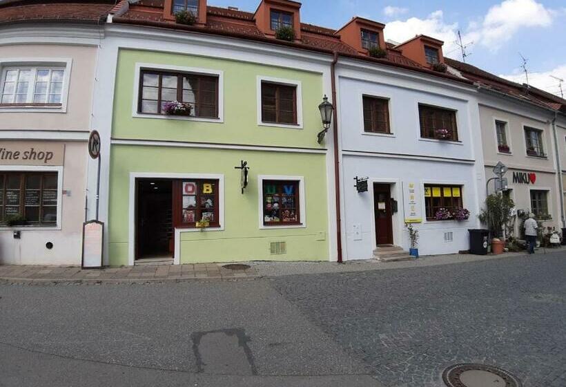 Standard Szoba King Size Bed, Penzion U žabáka