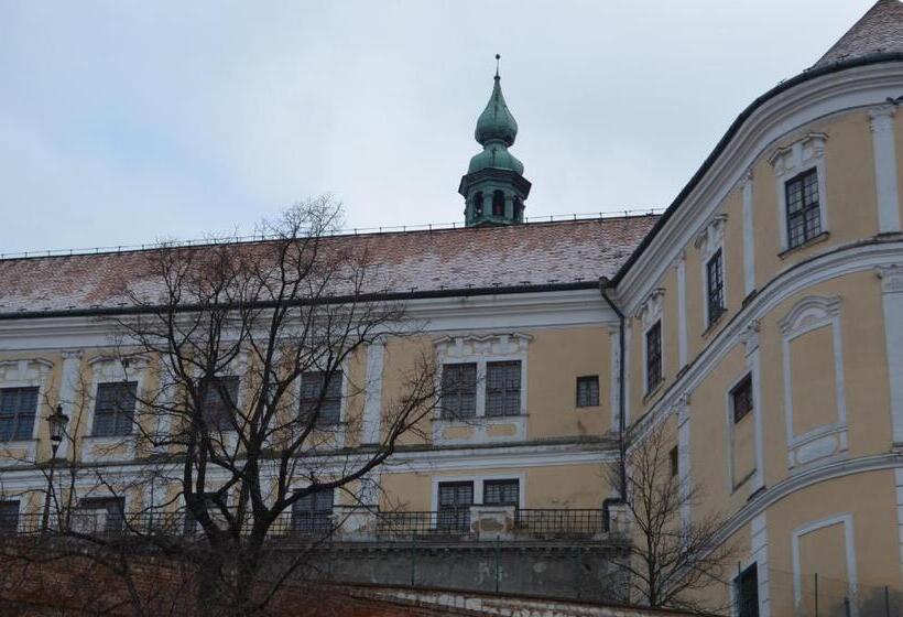 Standard Szoba King Size Bed, Penzion U žabáka