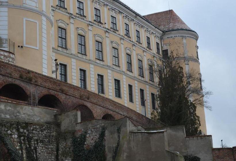Standard Szoba King Size Bed, Penzion U žabáka