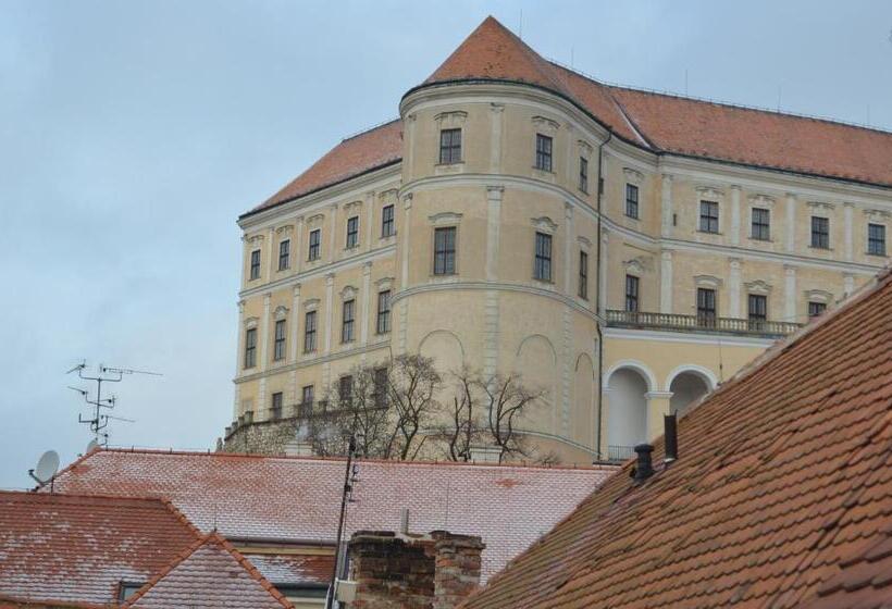 Апартаменты 1 Спальня, Penzion U žabáka