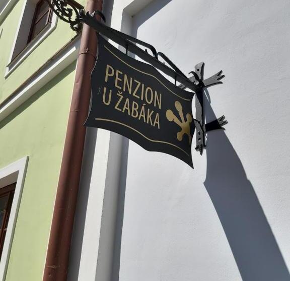 Номер Стандарт Кровать Кинг Адаптированный для Инвалидов, Penzion U žabáka