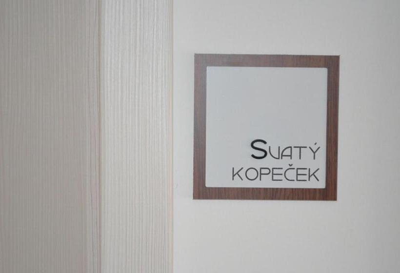 Standard Szoba King Size Bed, Penzion U žabáka