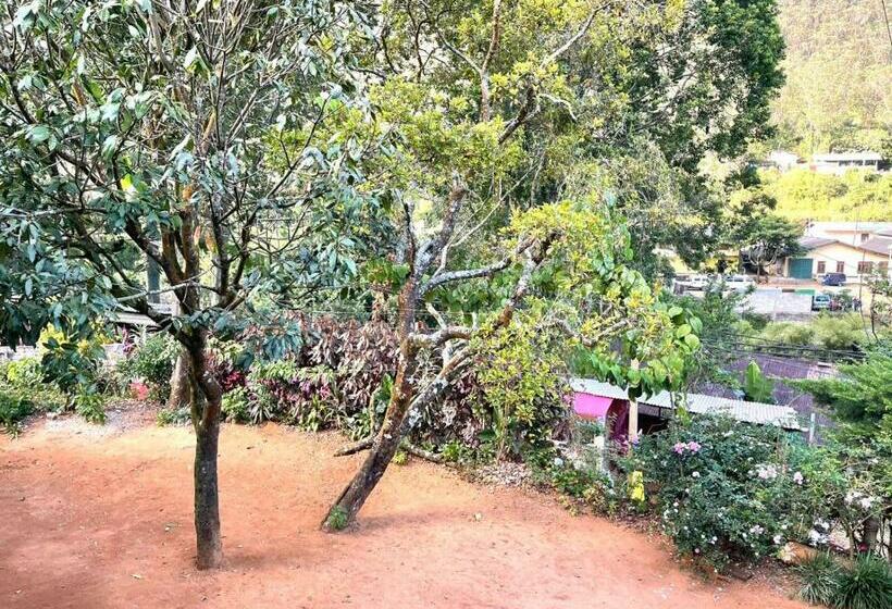 Family Suite, Mango Tree Nearest Adam S Peak