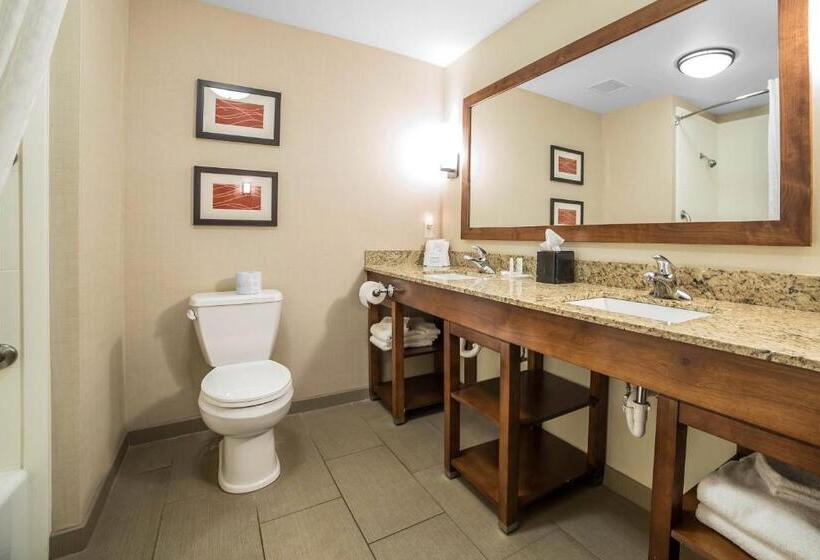 Люкс Superior, Comfort Suites Moab Near Arches National Park