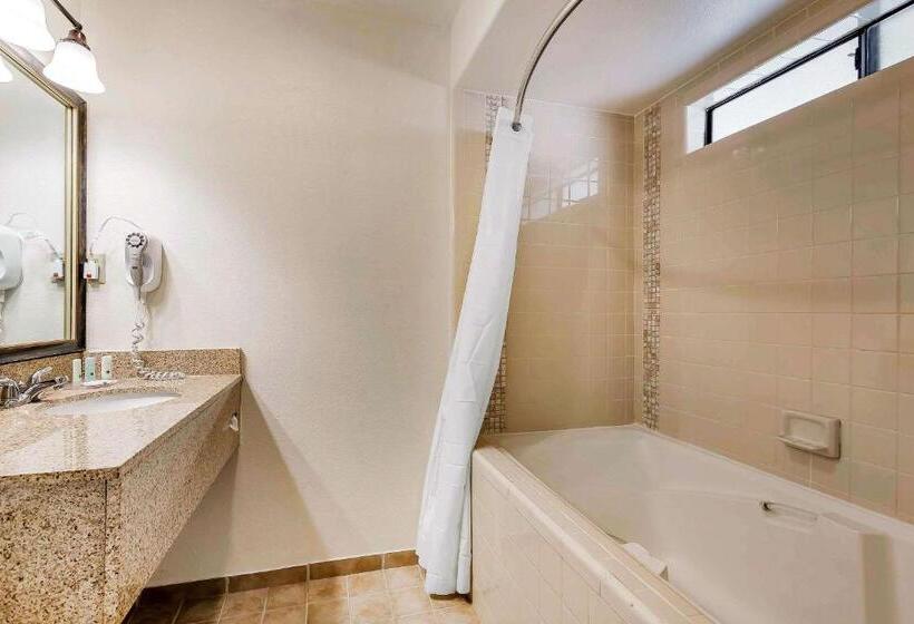 스탠다드 룸, Quality Inn Fallbrook I 15