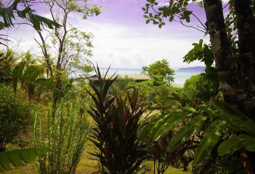 اتاق استاندارد, Rancho Corcovado