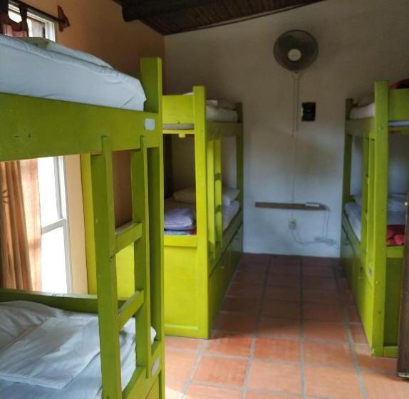 ルームシェアのワンベッド, Viajero La Pedrera Hostel