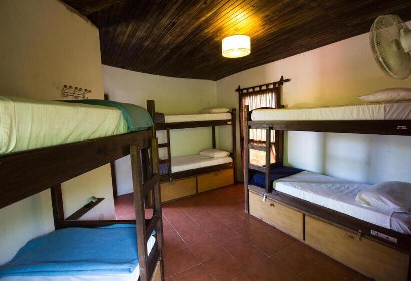 공동 객실, Viajero La Pedrera Hostel