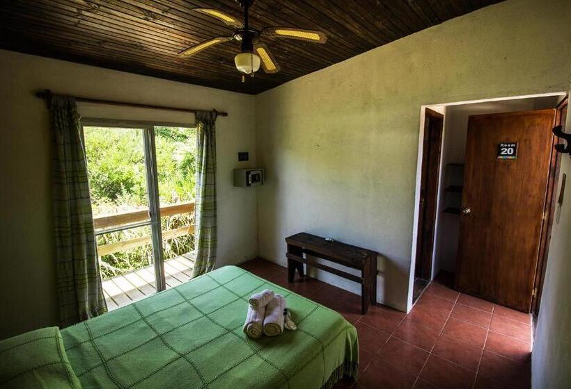 스탠다드 싱글 룸, Viajero La Pedrera Hostel