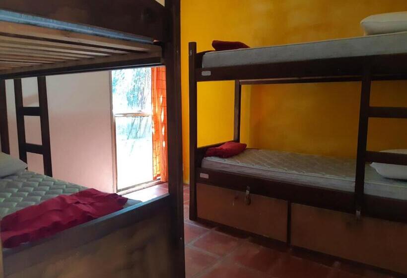 공동 객실, Viajero La Pedrera Hostel